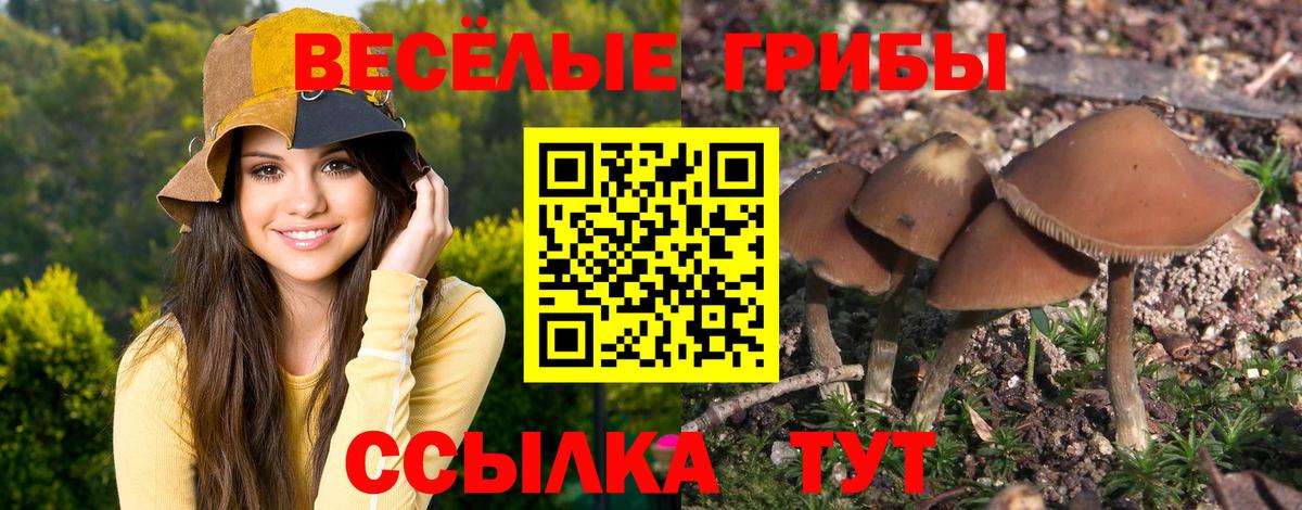 Керчь  Галлюциногенные грибы мухоморы  Вход с VPN 